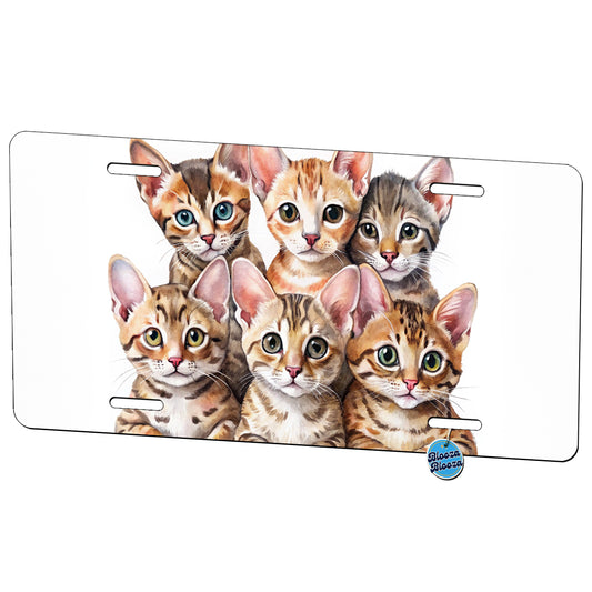 Sweet Ocicat Cats Metal Vanity Novelty Tag License Plate for Trucks Cars SUVs