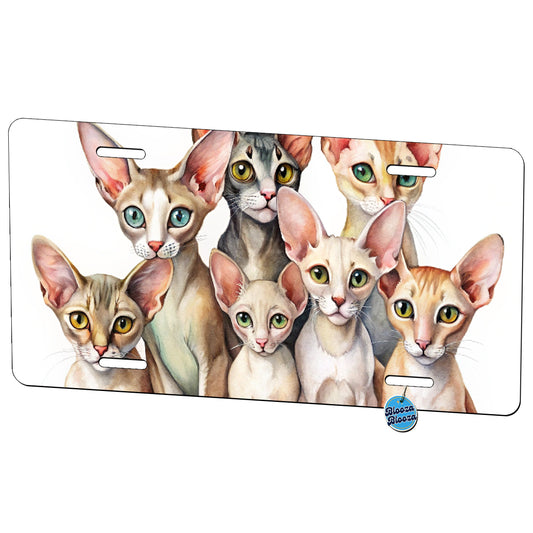 Sweet Oriental Shorthair Cats Metal Vanity Novelty Tag License Plate for Trucks Cars SUVs