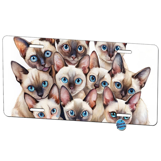Sweet Siamese Cats Metal Vanity Novelty Tag License Plate for Trucks Cars SUVs
