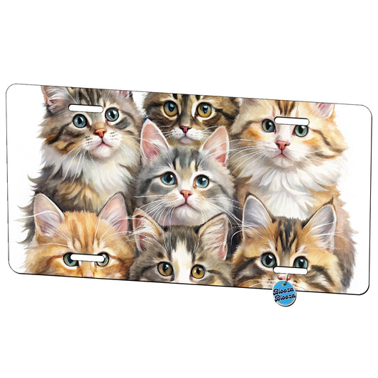Sweet Siberian Cats Metal Vanity Novelty Tag License Plate for Trucks Cars SUVs