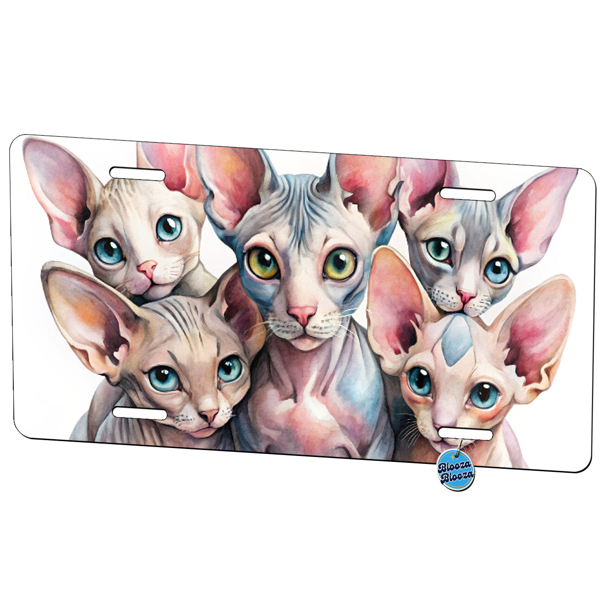 Sweet Sphynx Cats Metal Vanity Novelty Tag License Plate for Trucks Cars SUVs
