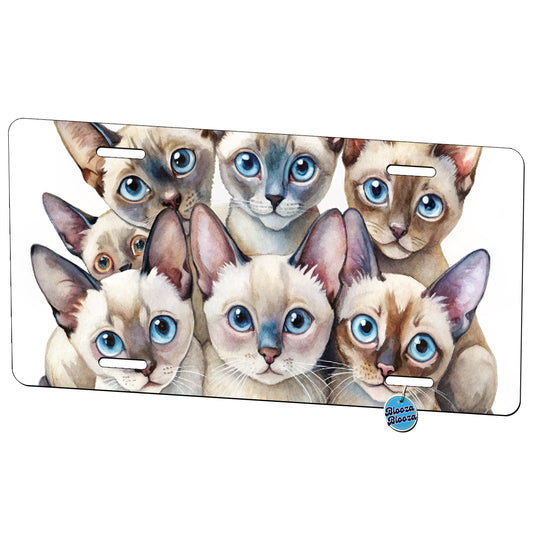 Sweet Tonkinese Cats Metal Vanity Novelty Tag License Plate for Trucks Cars SUVs