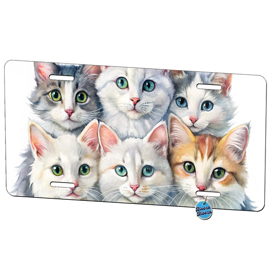 Sweet Turkish Angora Cats Metal Vanity Novelty Tag License Plate for Trucks Cars SUVs