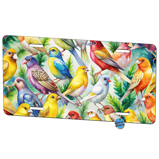 Many Colorful Canary Birds Watercolor Metal Vanity Novelty Tag License Plate for Trucks Cars SUVs