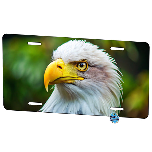 Bald Eagle Raptor Bird Of Prey Metal Vanity Novelty Tag License Plate for Trucks Cars SUVs