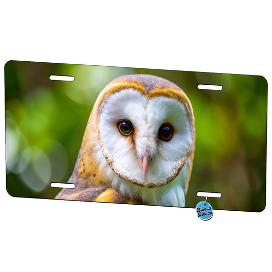 Barn Owl Raptor Bird Of Prey Metal Vanity Novelty Tag License Plate for Trucks Cars SUVs