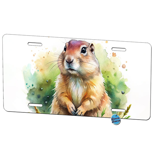 Gopher Watercolor Metal Vanity Novelty Tag License Plate for Trucks Cars SUVs