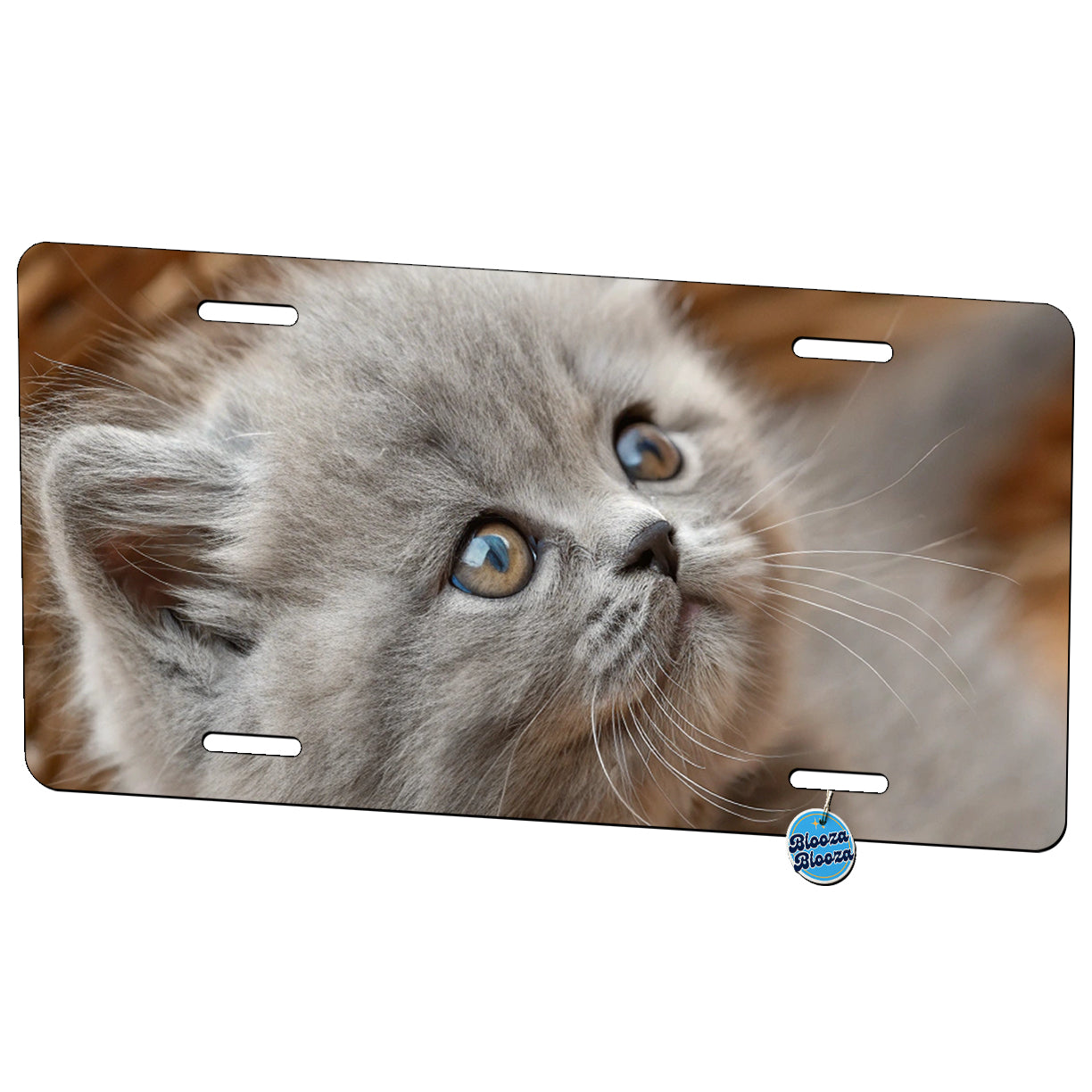 Gray British Longhair Kitten in a Basket Metal Vanity Novelty Tag License Plate for Trucks Cars SUVs