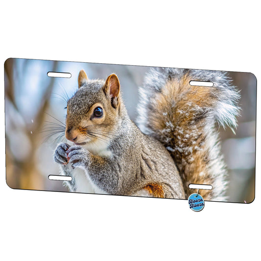 Gray Squirrel In Winter Metal Vanity Novelty Tag License Plate for Trucks Cars SUVs