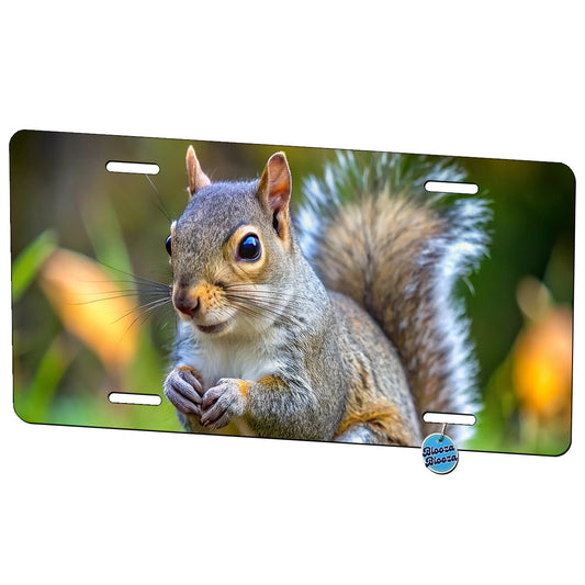 Gray Squirrel Metal Vanity Novelty Tag License Plate for Trucks Cars SUVs