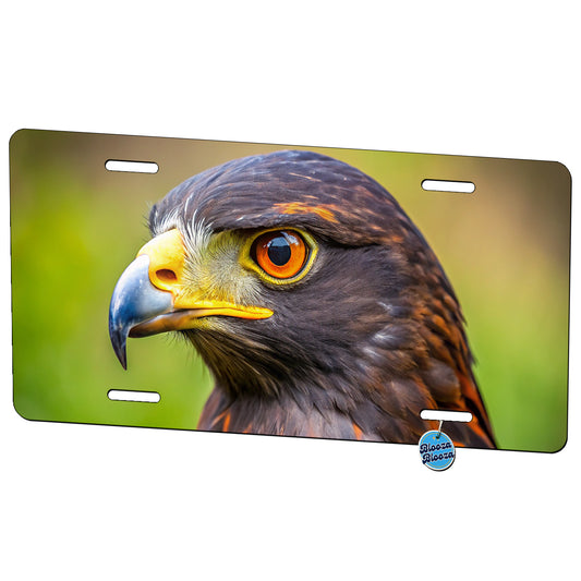 Harris's Hawk Raptor Bird Of Prey Metal Vanity Novelty Tag License Plate for Trucks Cars SUVs