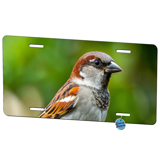 House Sparrow Backyard Bird Metal Vanity Novelty Tag License Plate for Trucks Cars SUVs