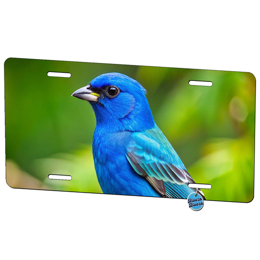 Indigo Bunting Backyard Bird Metal Vanity Novelty Tag License Plate for Trucks Cars SUVs