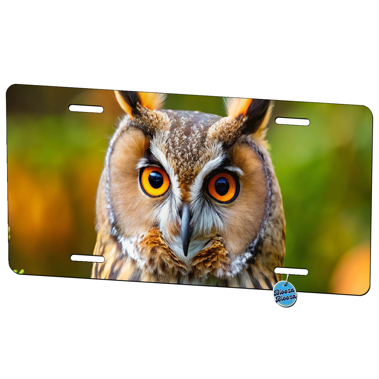 Long-Eared Owl Raptor Bird Of Prey Metal Vanity Novelty Tag License Plate for Trucks Cars SUVs