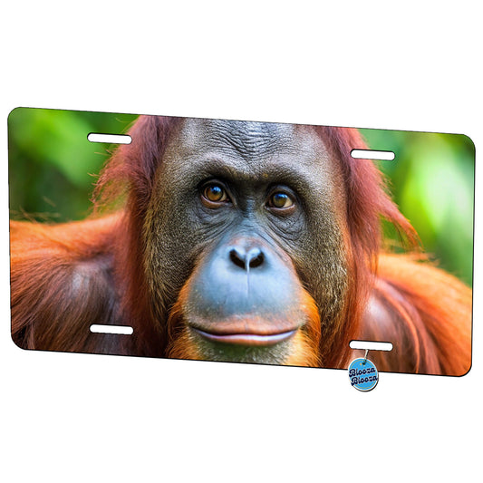 Orangutan Monkey Ape Metal Vanity Novelty Tag License Plate for Trucks Cars SUVs