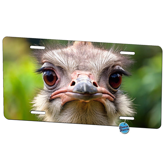 Ostrich Metal Vanity Novelty Tag License Plate for Trucks Cars SUVs