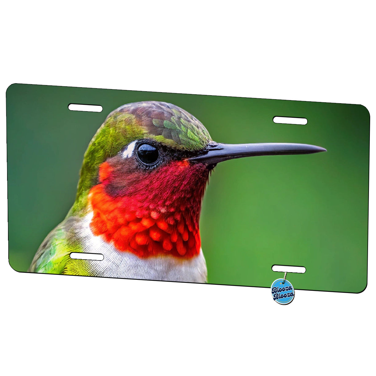 Ruby Throated Hummingbird Backyard Bird Metal Vanity Novelty Tag License Plate for Trucks Cars SUVs