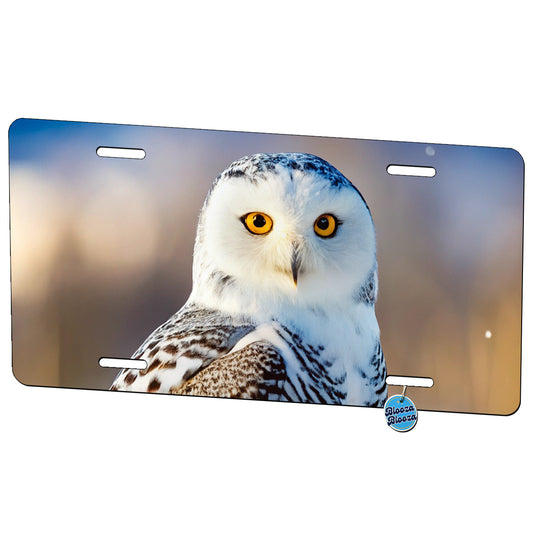 Snowy Owl Raptor Bird Of Prey Metal Vanity Novelty Tag License Plate for Trucks Cars SUVs