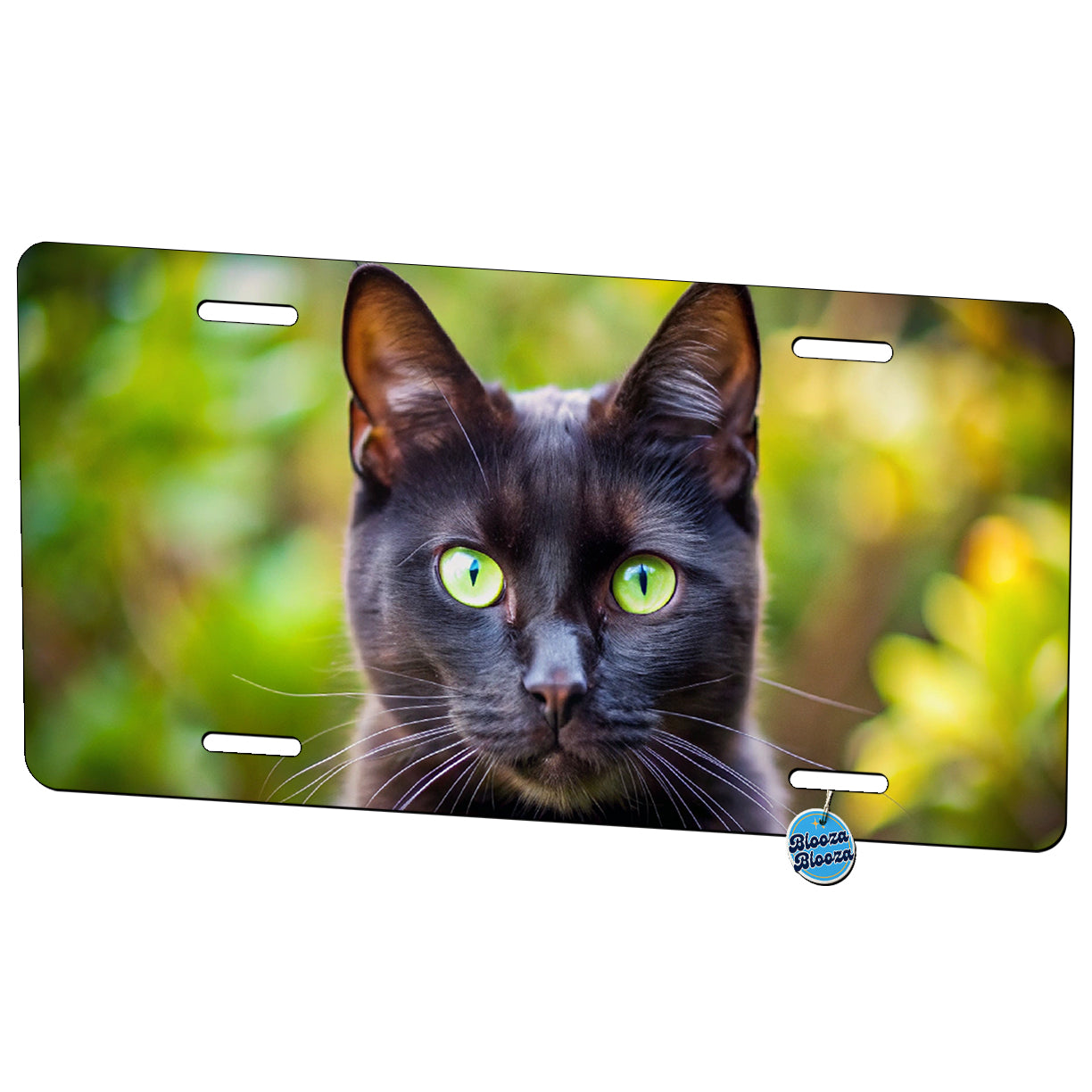 Black Cat Photo Metal Vanity Novelty Tag License Plate for Trucks Cars SUVs