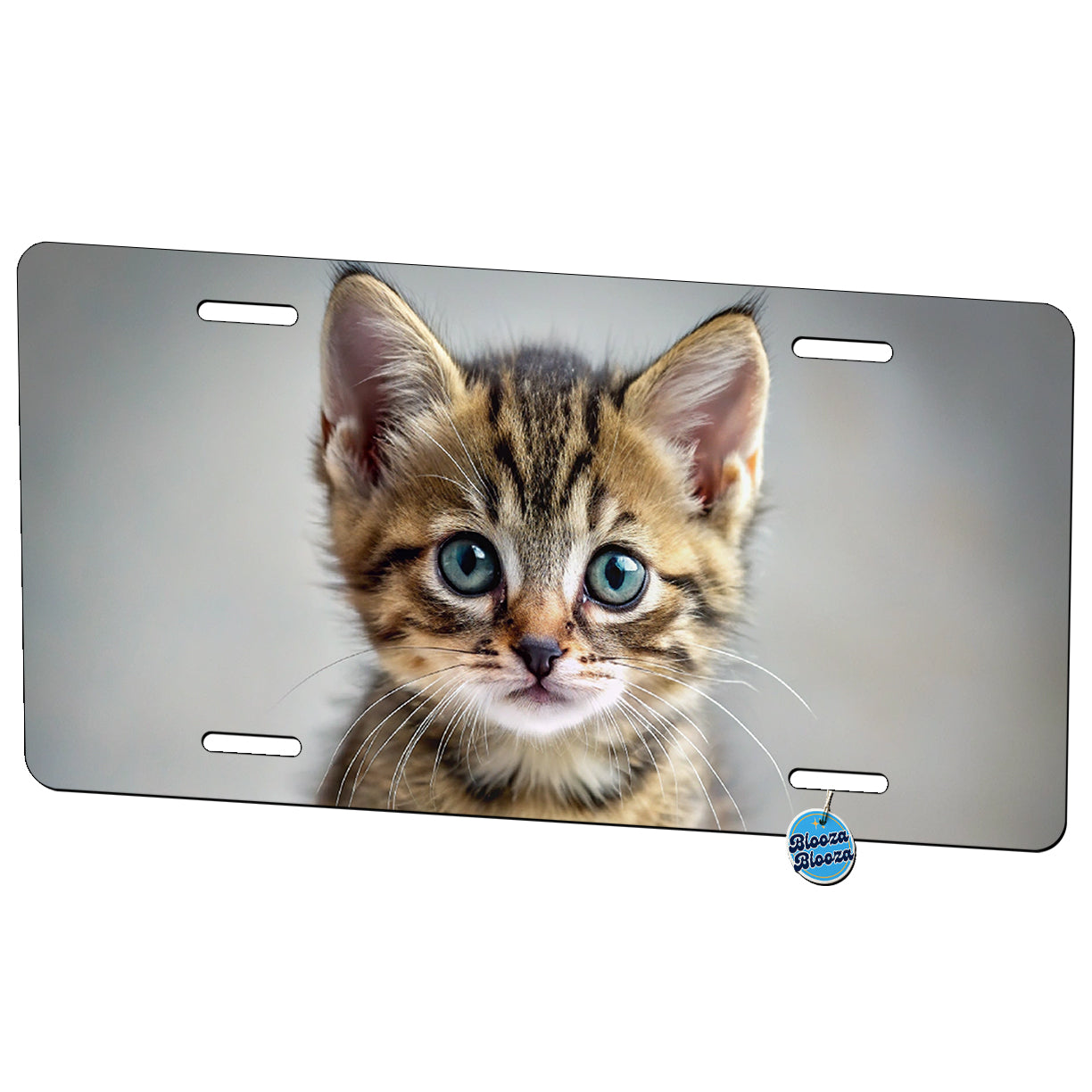 Tabby Cat Kitten Photo Metal Vanity Novelty Tag License Plate for Trucks Cars SUVs