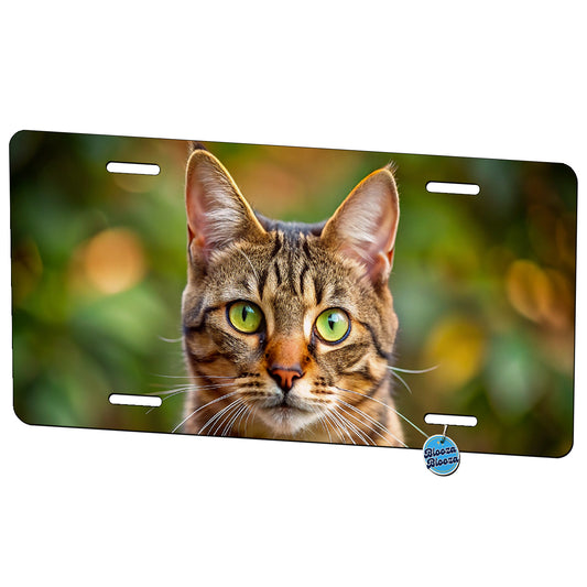 Tabby Cat Photo Metal Vanity Novelty Tag License Plate for Trucks Cars SUVs
