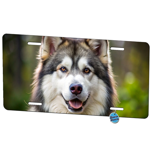 Alaskan Malamute Dog Photo Metal Vanity Novelty Tag License Plate for Trucks Cars SUVs