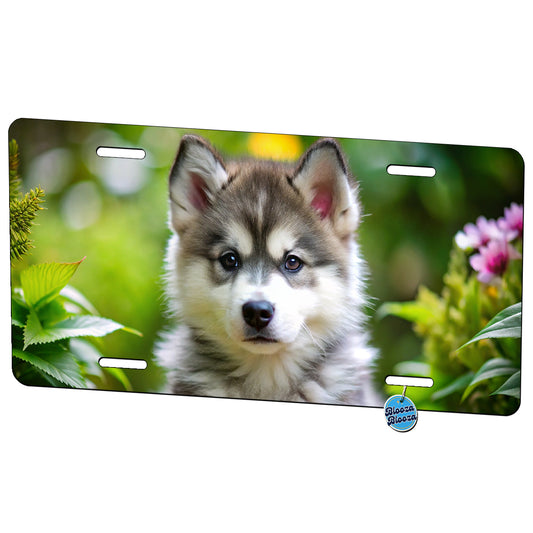 Alaskan Malamute Dog Puppy Photo Metal Vanity Novelty Tag License Plate for Trucks Cars SUVs
