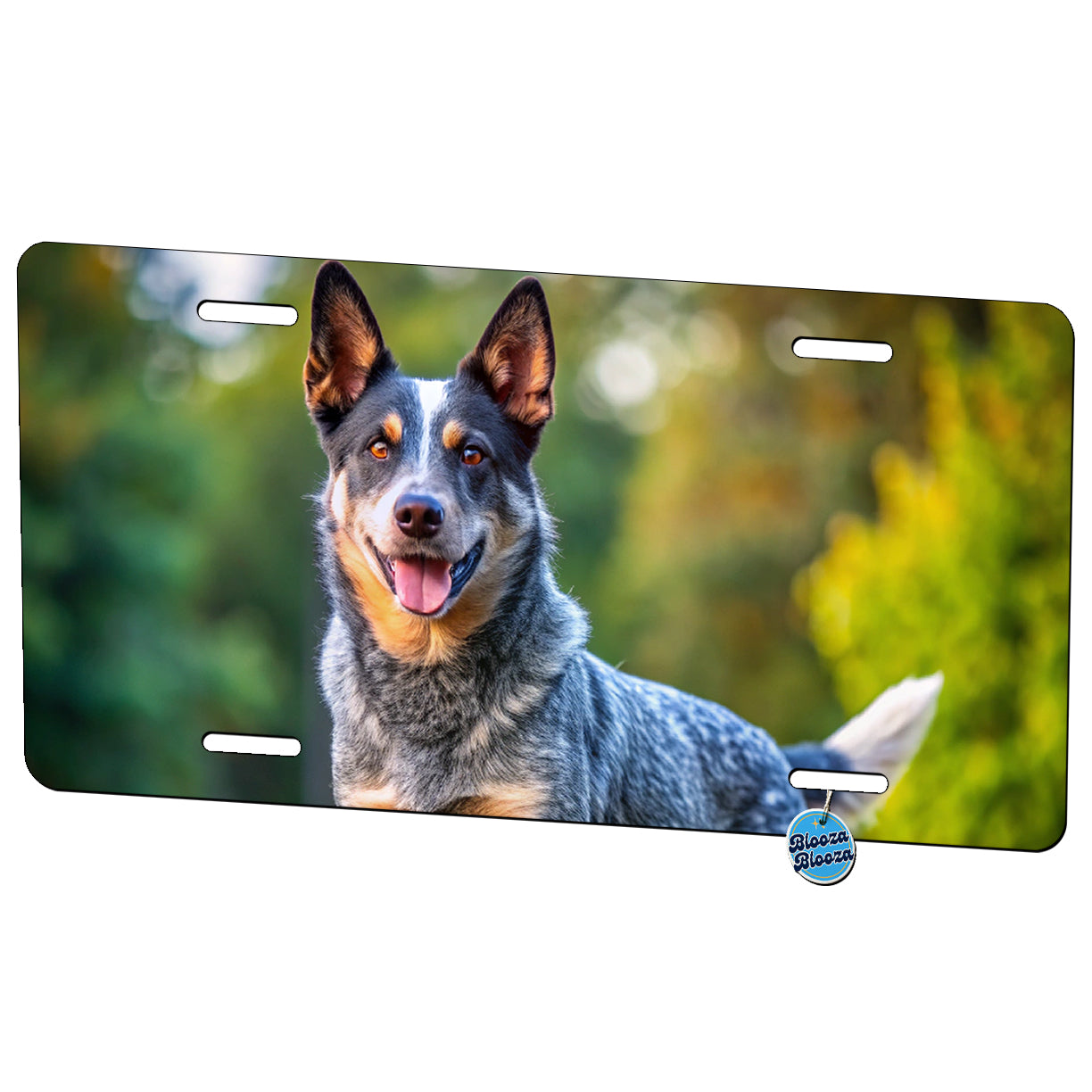 Australian Cattle Dog Photo Metal Vanity Novelty Tag License Plate for Trucks Cars SUVs