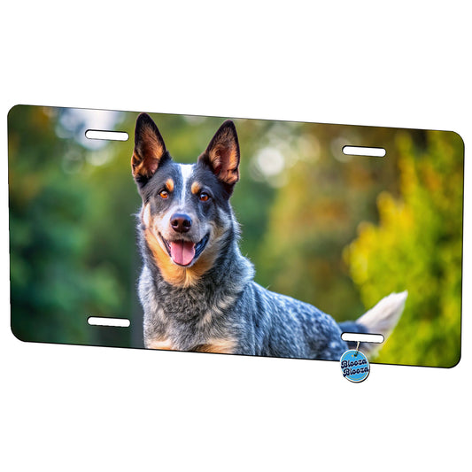 Australian Cattle Dog Photo Metal Vanity Novelty Tag License Plate for Trucks Cars SUVs