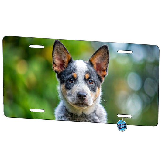 Australian Cattle Dog Puppy Photo Metal Vanity Novelty Tag License Plate for Trucks Cars SUVs