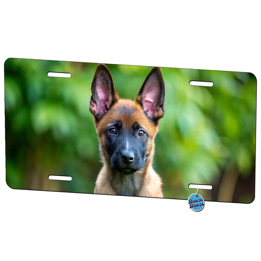 Belgian Malinois Dog Puppy Photo Metal Vanity Novelty Tag License Plate for Trucks Cars SUVs