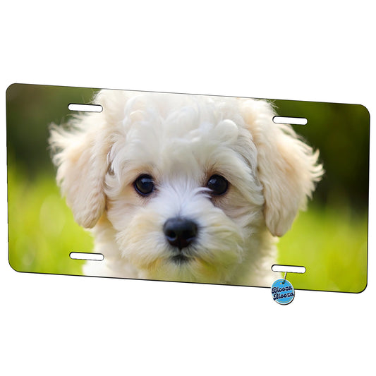 Bichon Frise Dog Puppy Photo Metal Vanity Novelty Tag License Plate for Trucks Cars SUVs