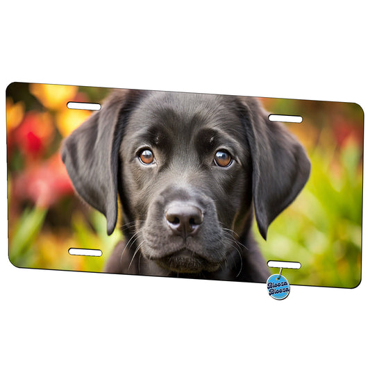 Black Labrador Retriever Dog Puppy Photo Metal Vanity Novelty Tag License Plate for Trucks Cars SUVs