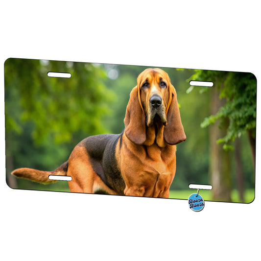 Bloodhound Dog Photo Metal Vanity Novelty Tag License Plate for Trucks Cars SUVs