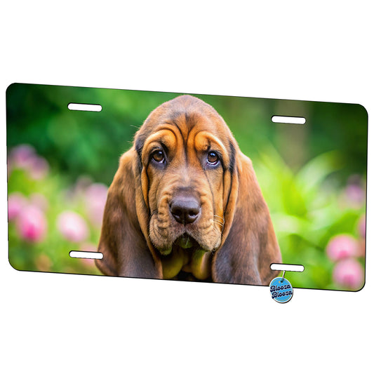 Bloodhound Dog Puppy Photo Metal Vanity Novelty Tag License Plate for Trucks Cars SUVs