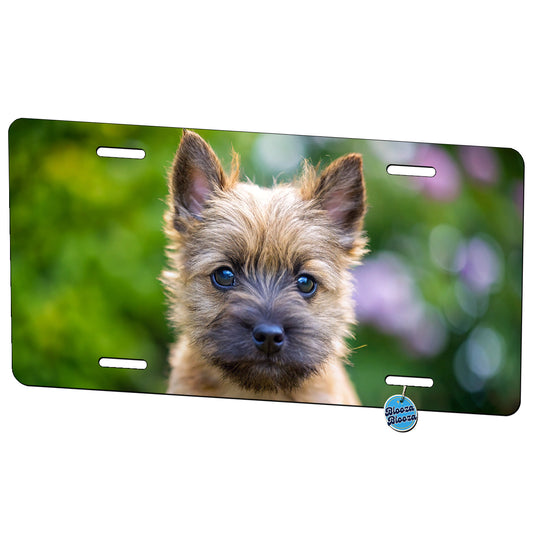 Cairn Terrier Dog Puppy Photo Metal Vanity Novelty Tag License Plate for Trucks Cars SUVs