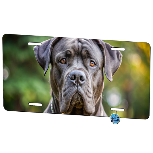 Cane Corso Dog Photo Metal Vanity Novelty Tag License Plate for Trucks Cars SUVs