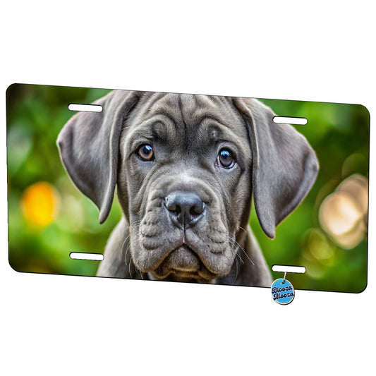 Cane Corso Dog Puppy Photo Metal Vanity Novelty Tag License Plate for Trucks Cars SUVs