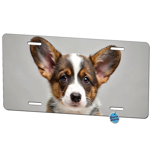 Cardigan Welsh Corgi Dog Puppy Photo Metal Vanity Novelty Tag License Plate for Trucks Cars SUVs