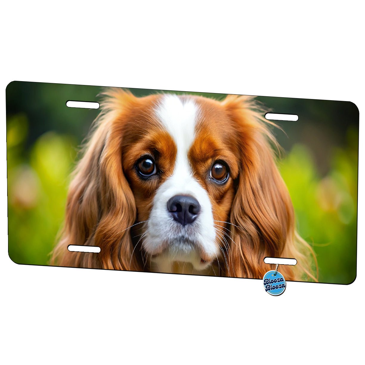 Cavalier King Charles Spaniel Dog Photo Metal Vanity Novelty Tag License Plate for Trucks Cars SUVs