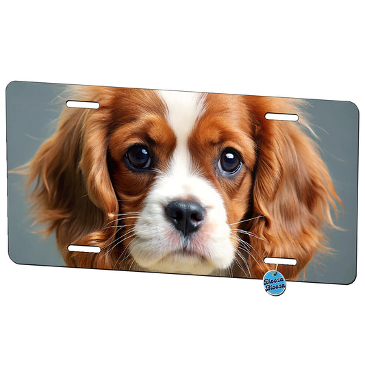 Cavalier King Charles Spaniel Dog Puppy Photo Metal Vanity Novelty Tag License Plate for Trucks Cars SUVs