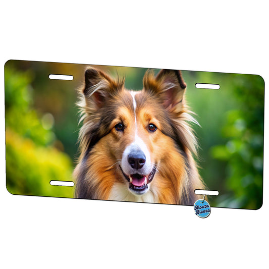 Collie Dog Photo Metal Vanity Novelty Tag License Plate for Trucks Cars SUVs