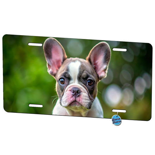 French Bulldog Frenchie Dog Puppy Photo Metal Vanity Novelty Tag License Plate for Trucks Cars SUVs