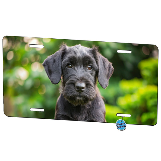 Giant Schnauzer Dog Puppy Photo Metal Vanity Novelty Tag License Plate for Trucks Cars SUVs