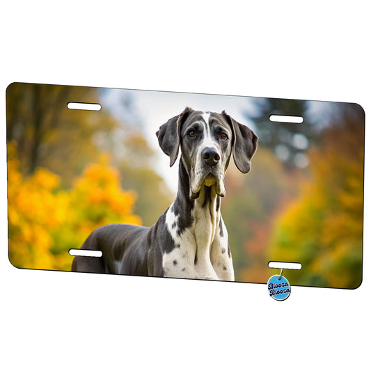 Great Dane Dog Photo Metal Vanity Novelty Tag License Plate for Trucks Cars SUVs