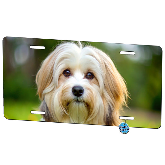 Havanese Dog Photo Metal Vanity Novelty Tag License Plate for Trucks Cars SUVs