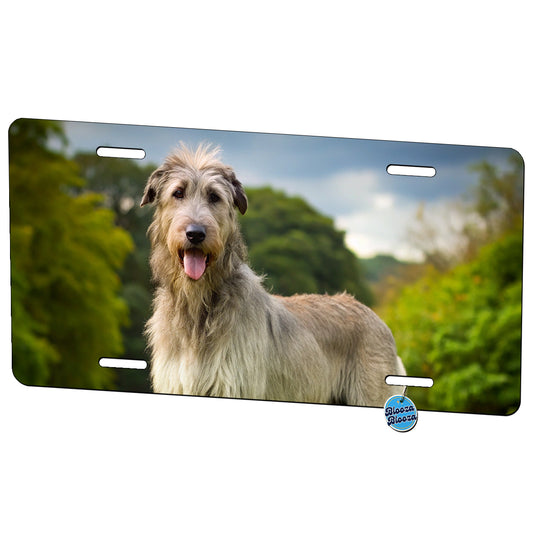 Irish Wolfhound Dog Photo Metal Vanity Novelty Tag License Plate for Trucks Cars SUVs