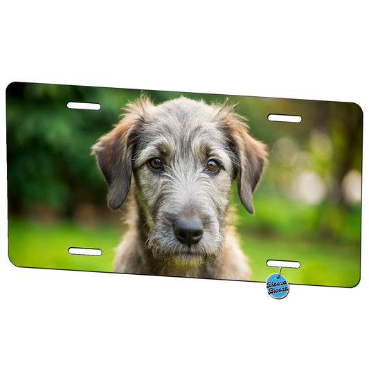 Irish Wolfhound Dog Puppy Photo Metal Vanity Novelty Tag License Plate for Trucks Cars SUVs