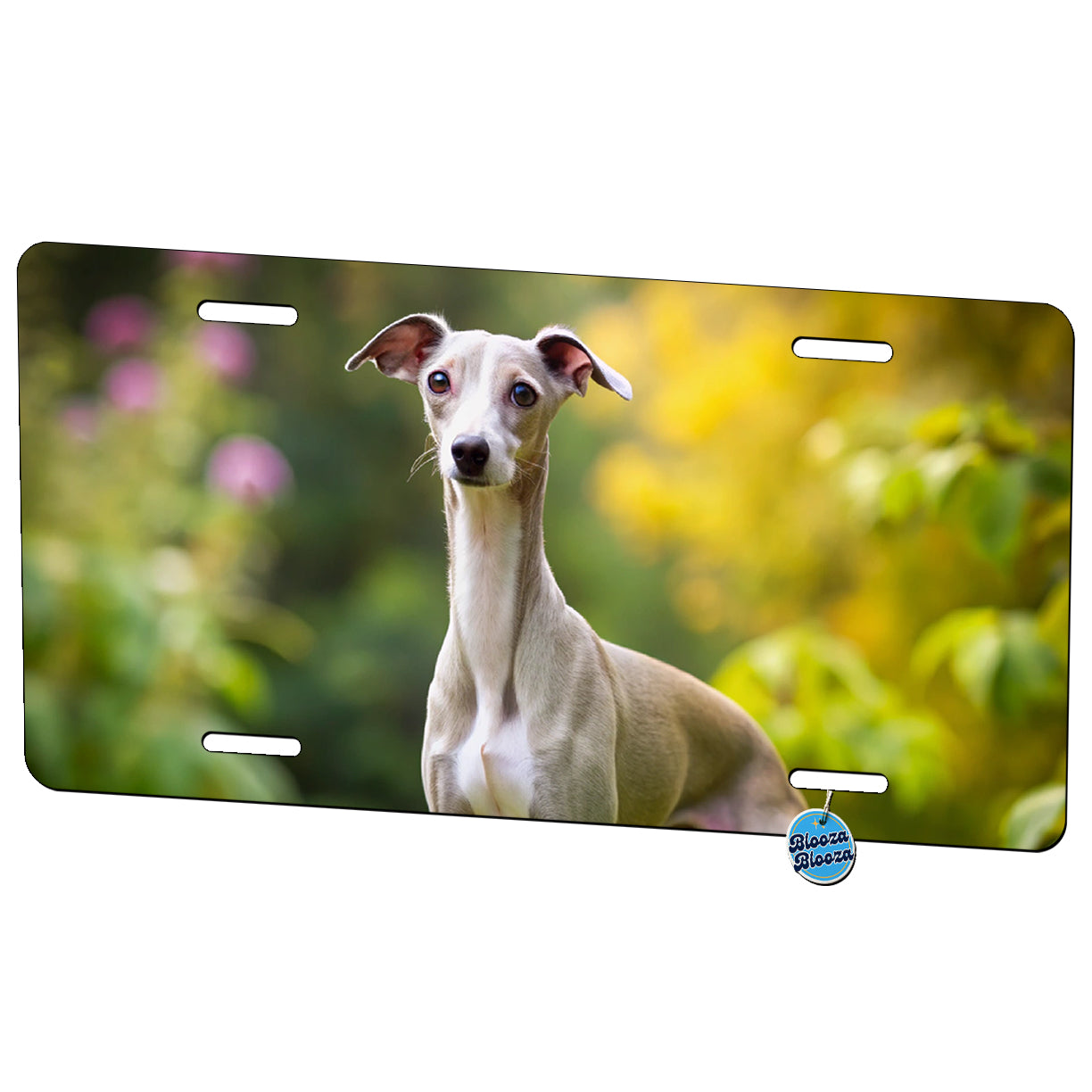Italian Greyhound Dog Photo Metal Vanity Novelty Tag License Plate for Trucks Cars SUVs