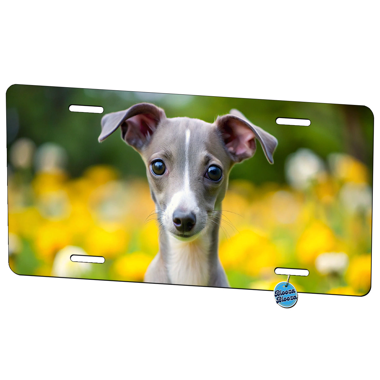 Italian Greyhound Dog Puppy Photo Metal Vanity Novelty Tag License Plate for Trucks Cars SUVs
